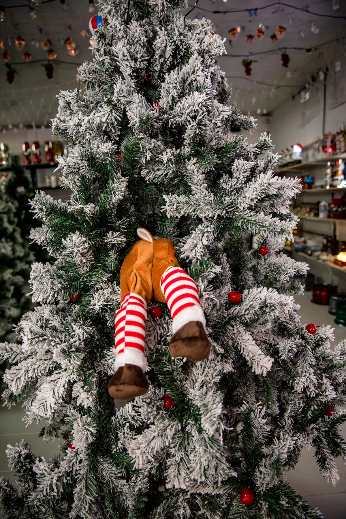 Patas Musicales Decorativas para Árbol